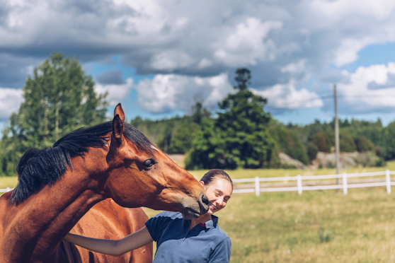 How to keep your horse cool in hot weather