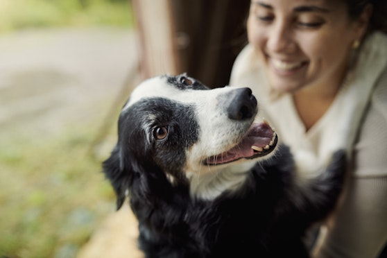 Taking the very best care of your dog’s smile